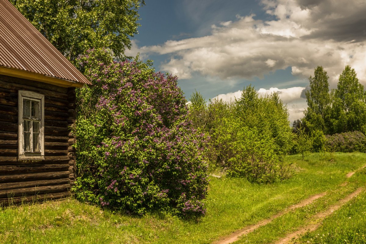 Июнь в деревне