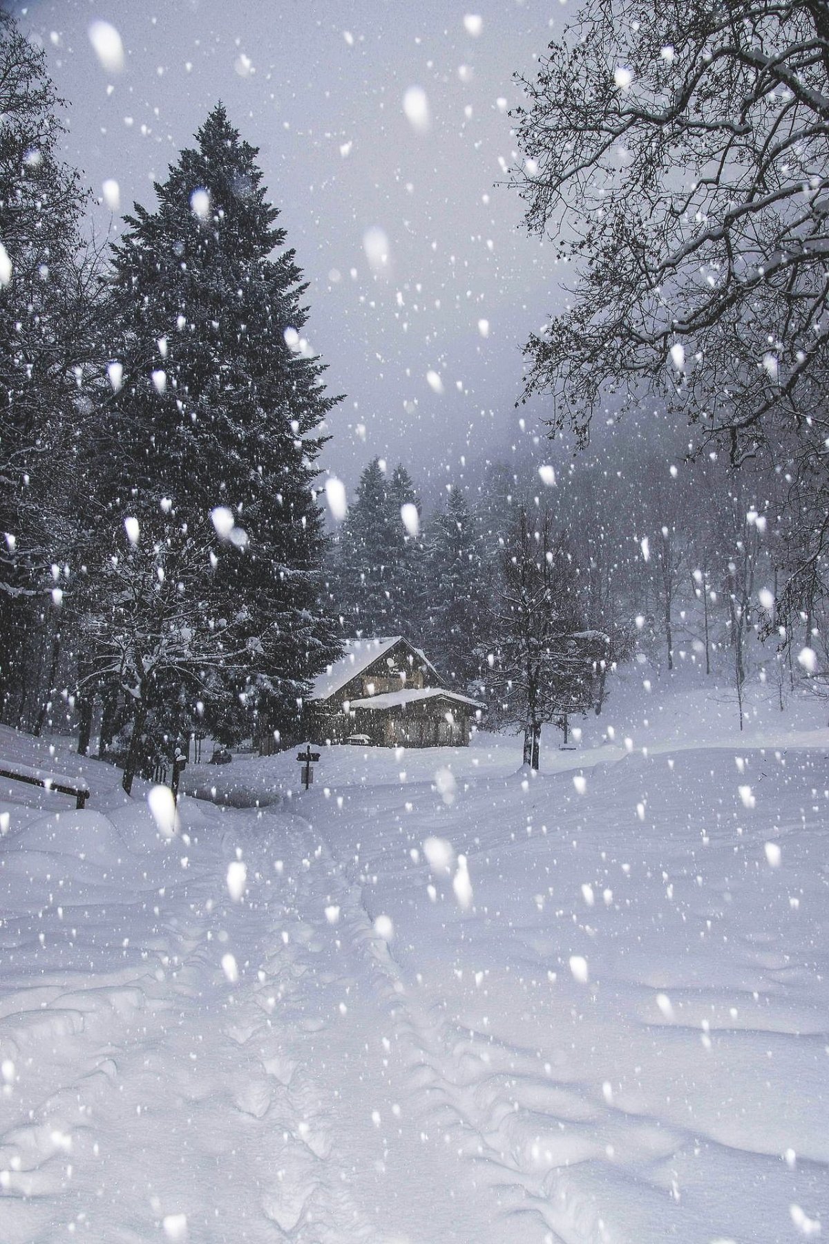 Девушка в снегу