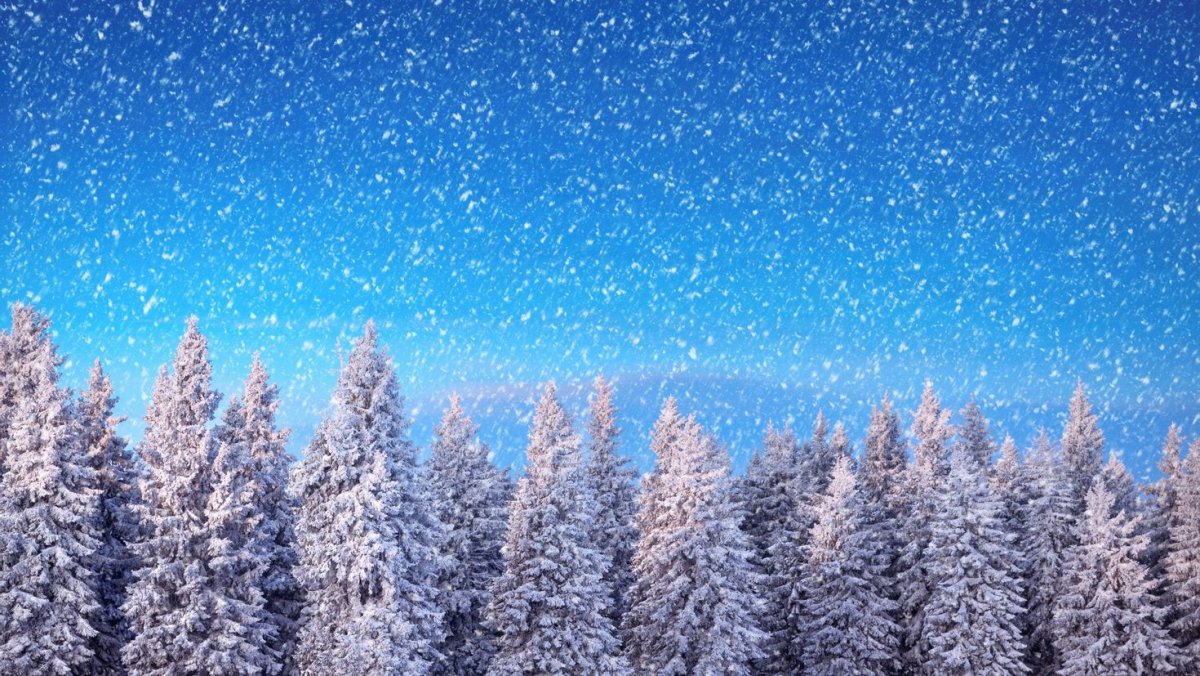 Женщина зимой со спины