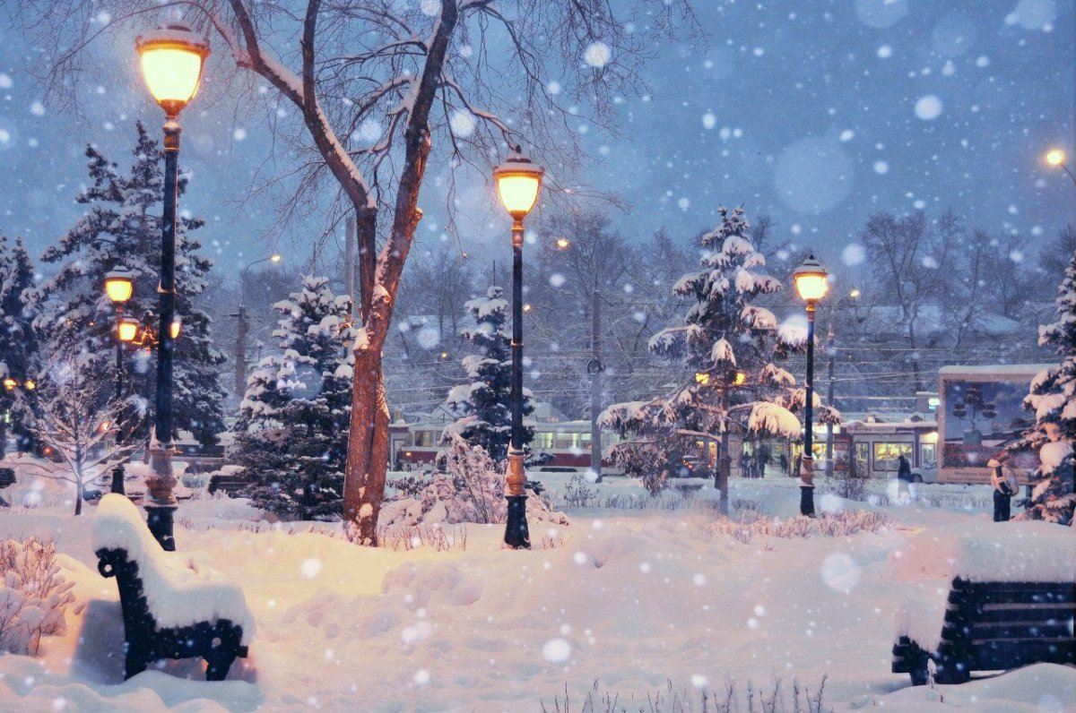 Девушка с русыми волосами зимой