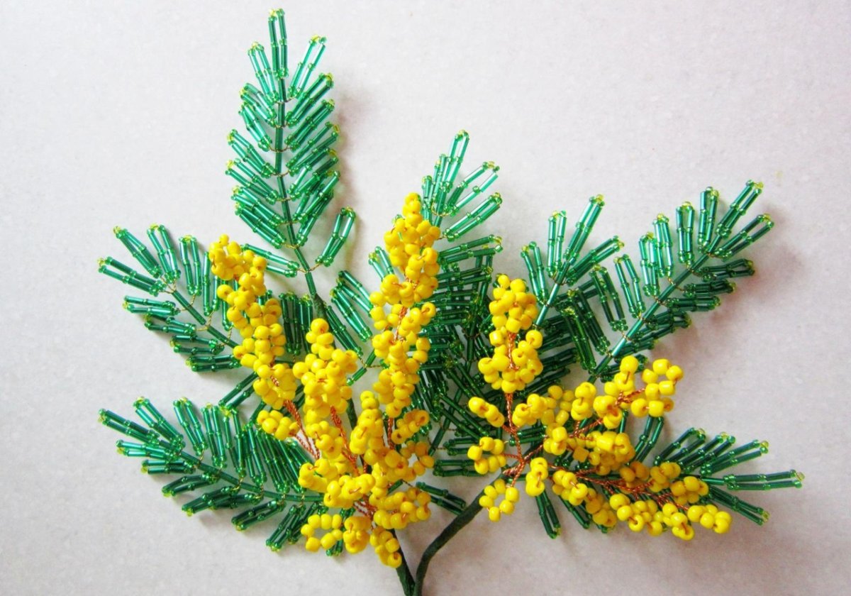 Веточка мимозы