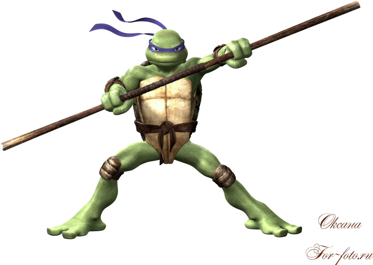 Леонардо Микеланджело Рафаэль Донателло Черепашки