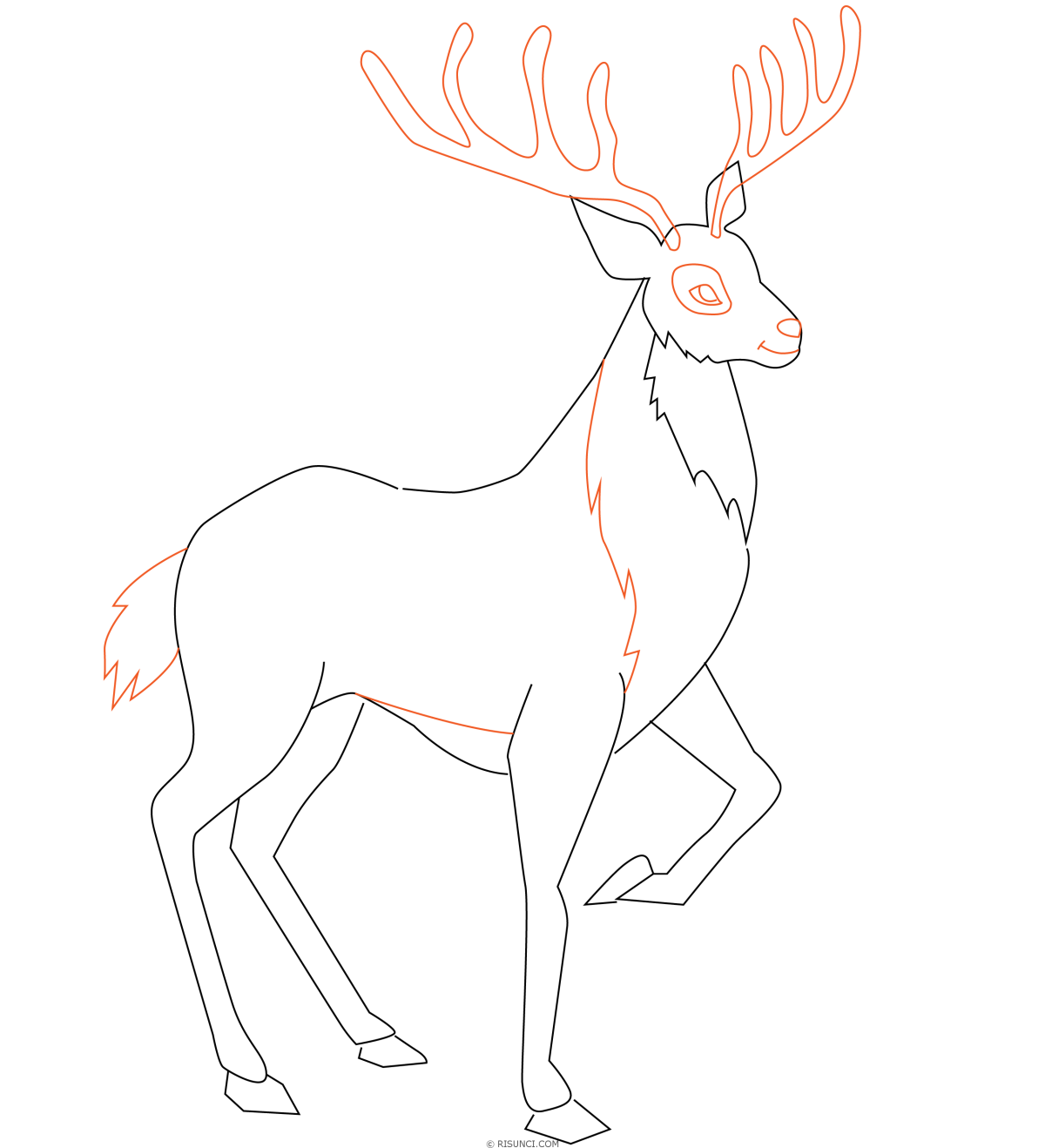 Олень для срисовки