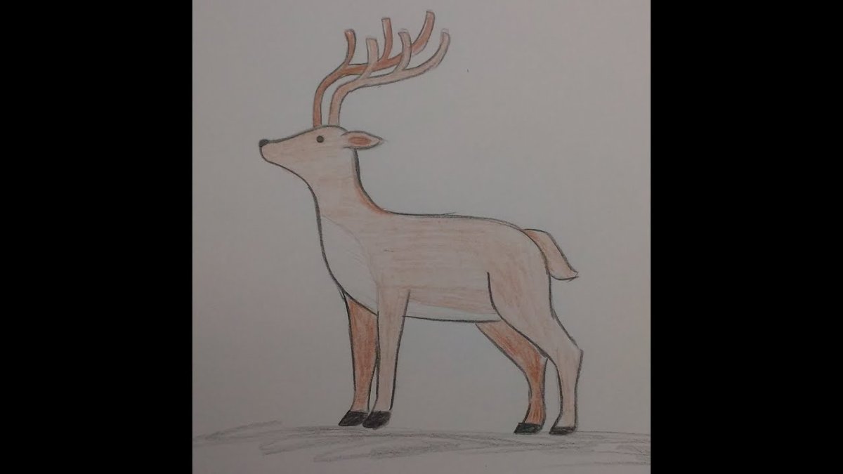 Олень фото рисунок
