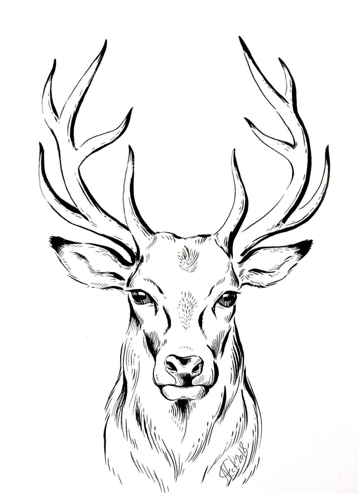 Легкий олень