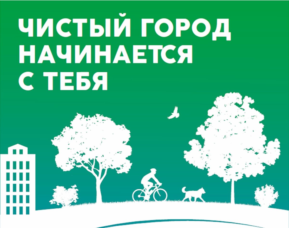 Чистый город телефон