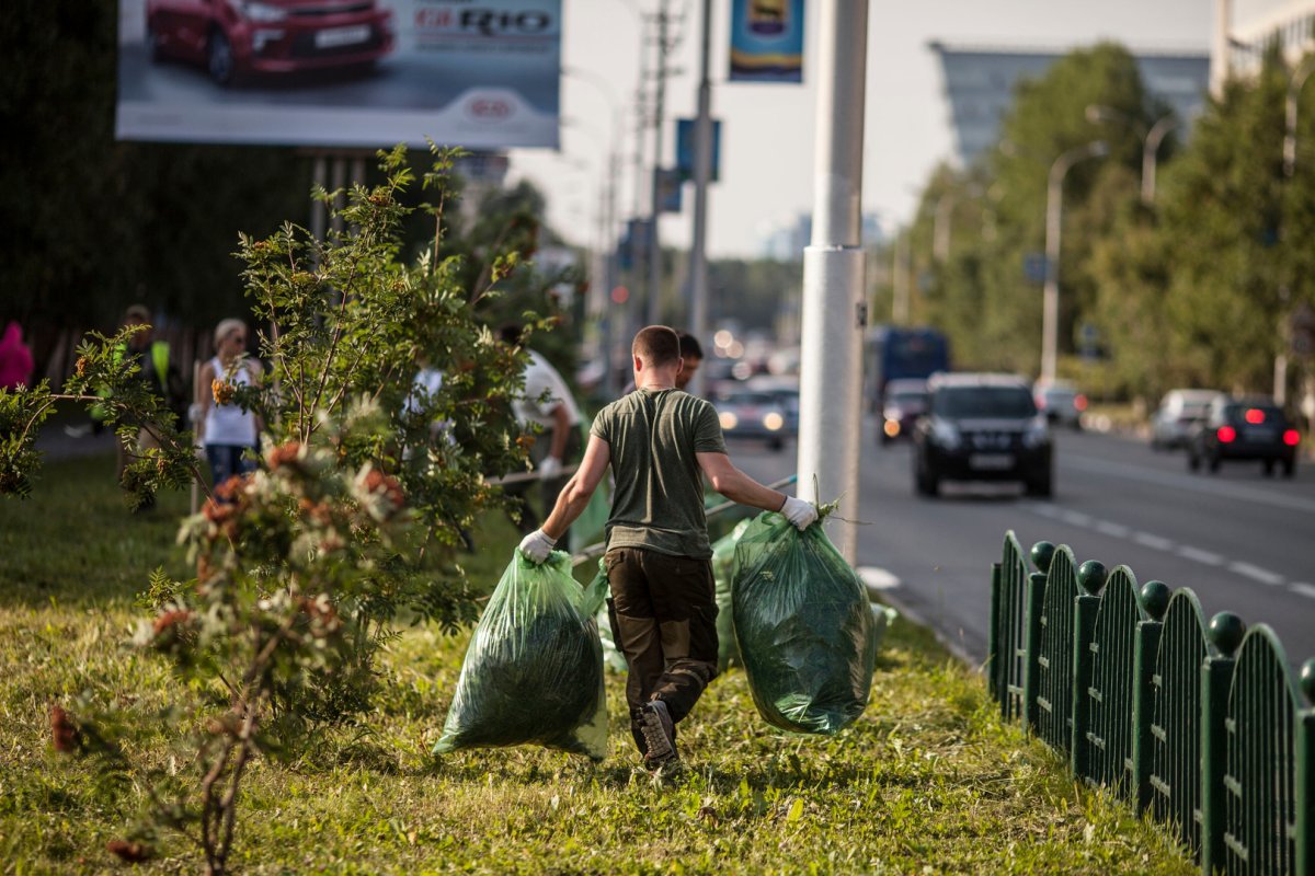 Экология на улице
