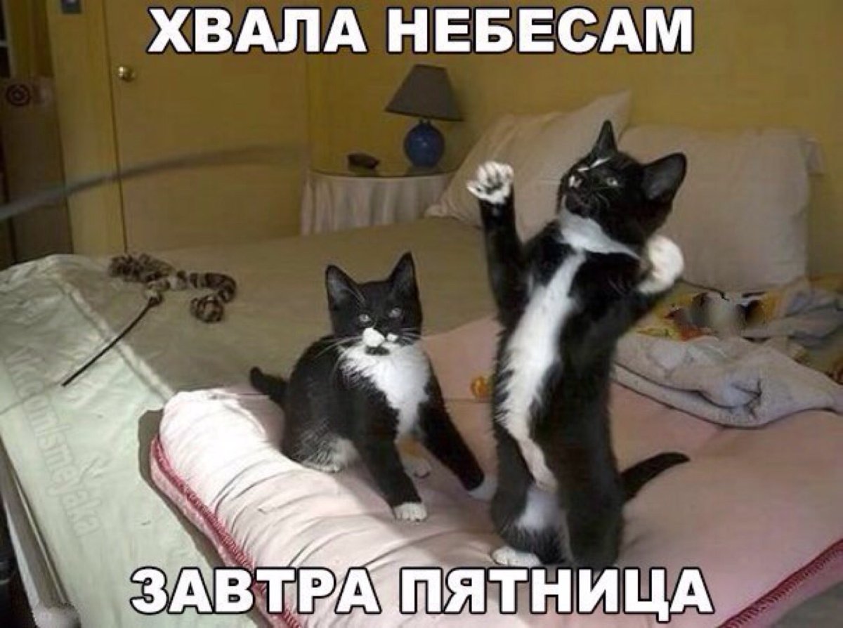 Завтра пятница