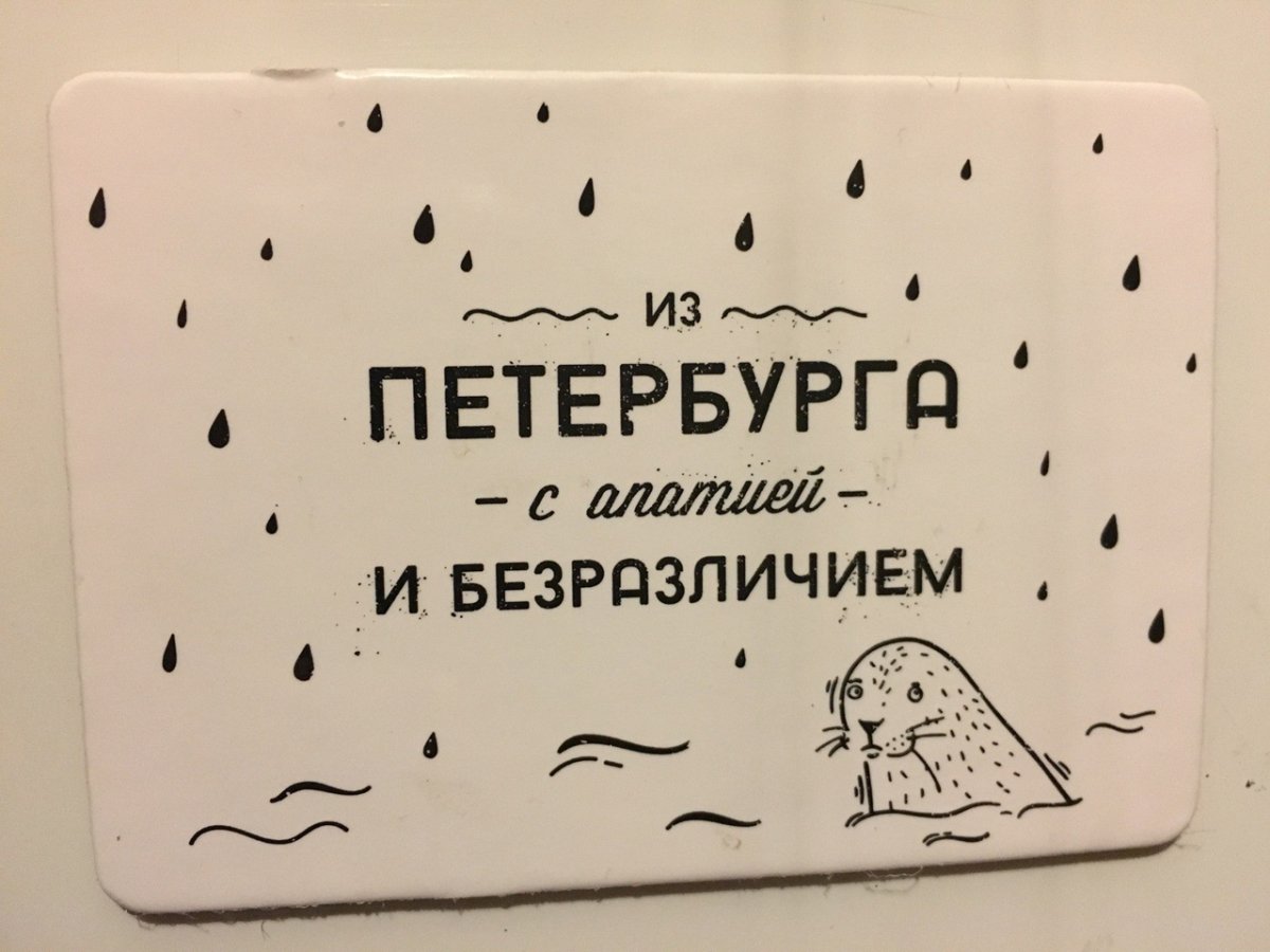 Коты Санкт-Петербурга картины