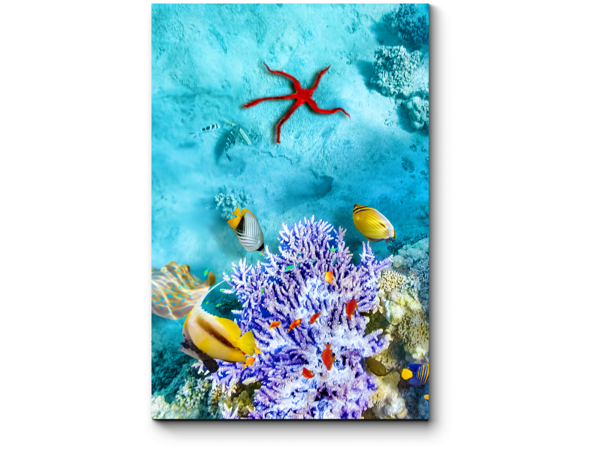 Морской мир