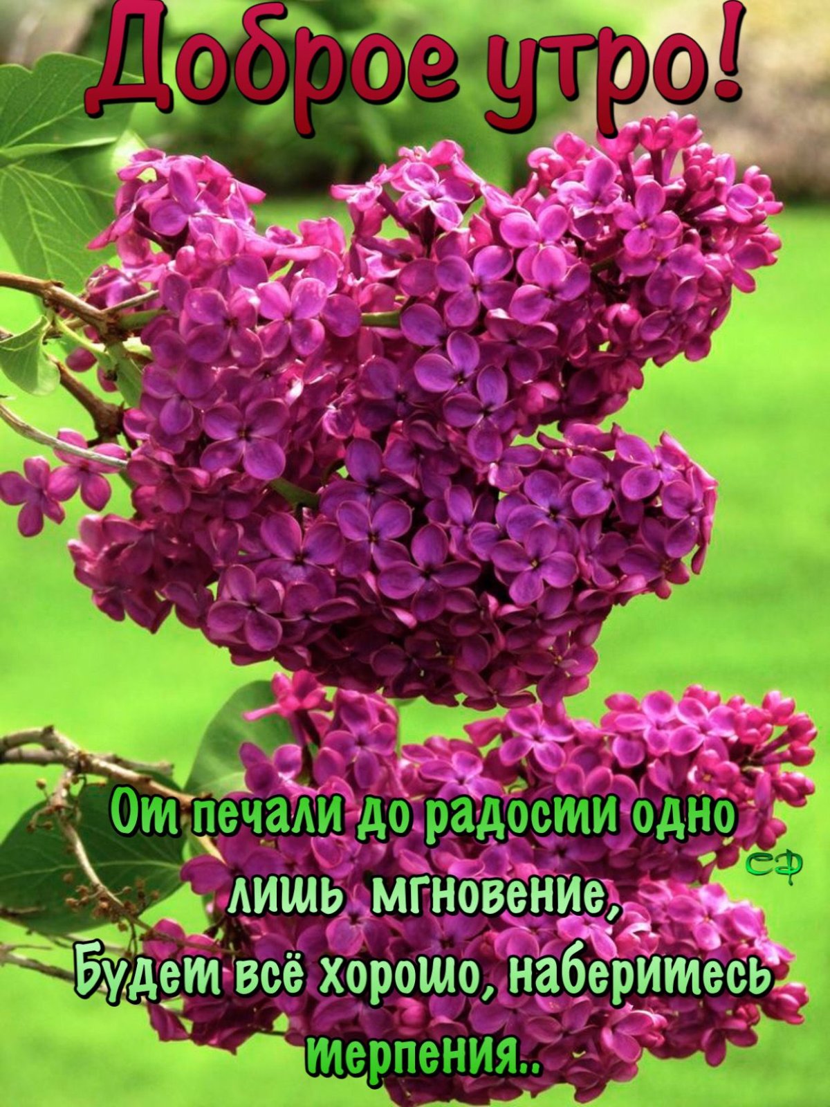 И снова утро