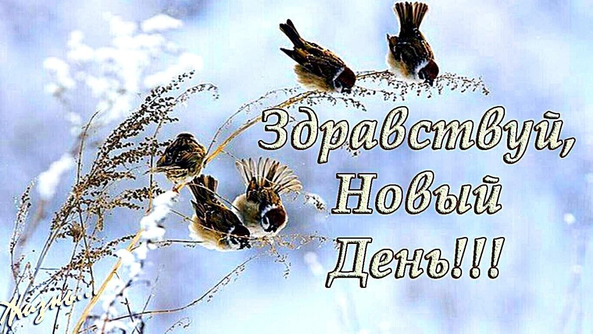 С добрым утром весенние православные