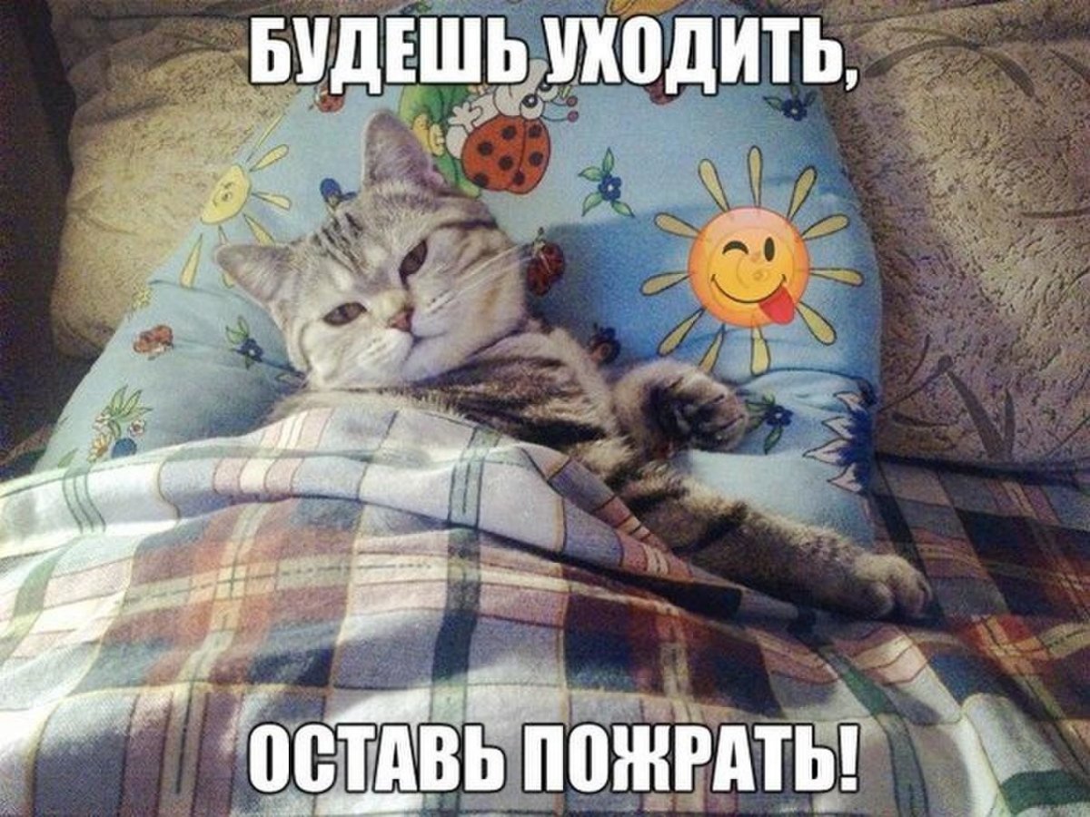 Доброе утро котенок
