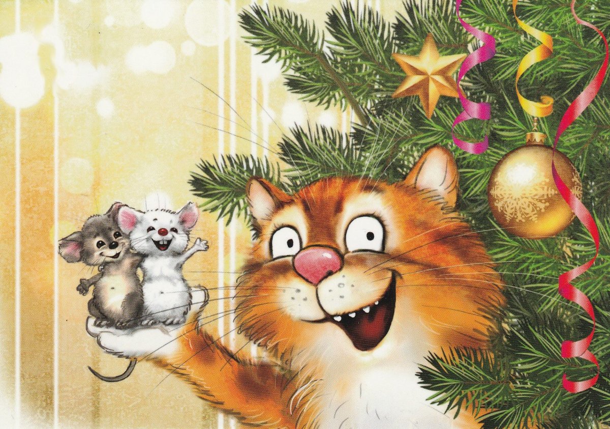 С новым годом котики приюта