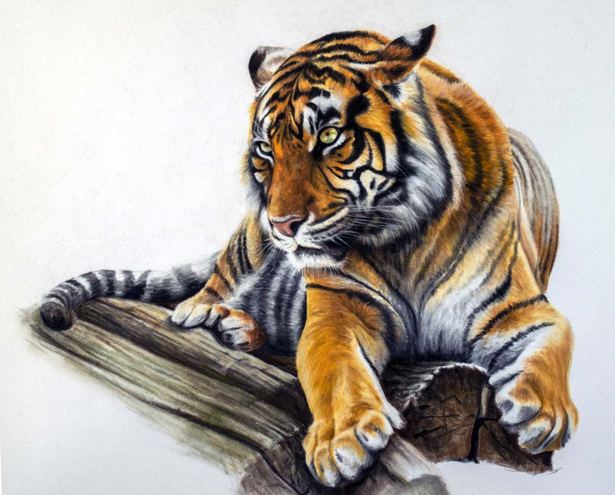 Мультяшное лицо тигра