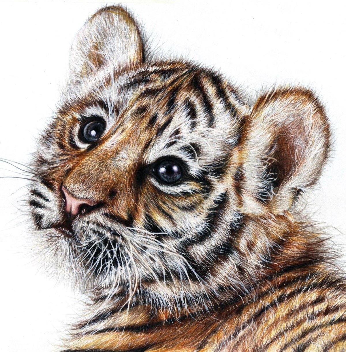 Jurek Zamoyski художник