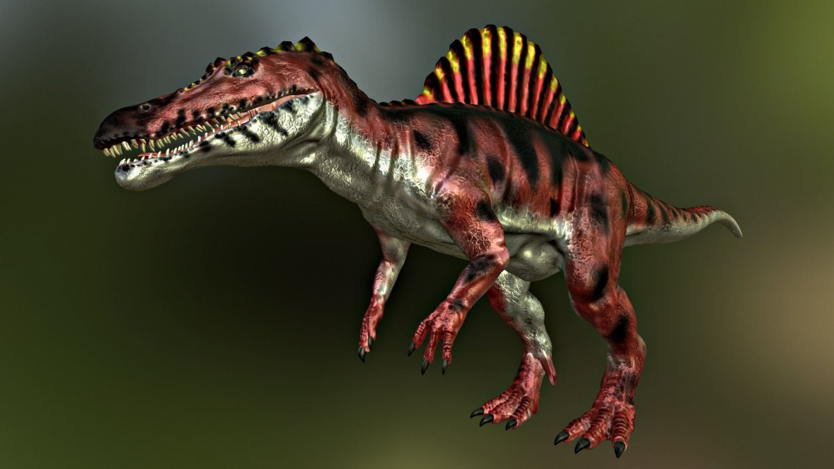 Спинозавр Бермуда