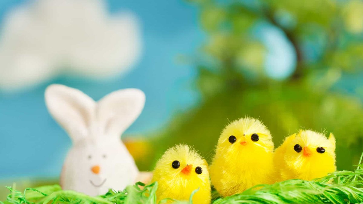 Гиф с добрым утром прикольные