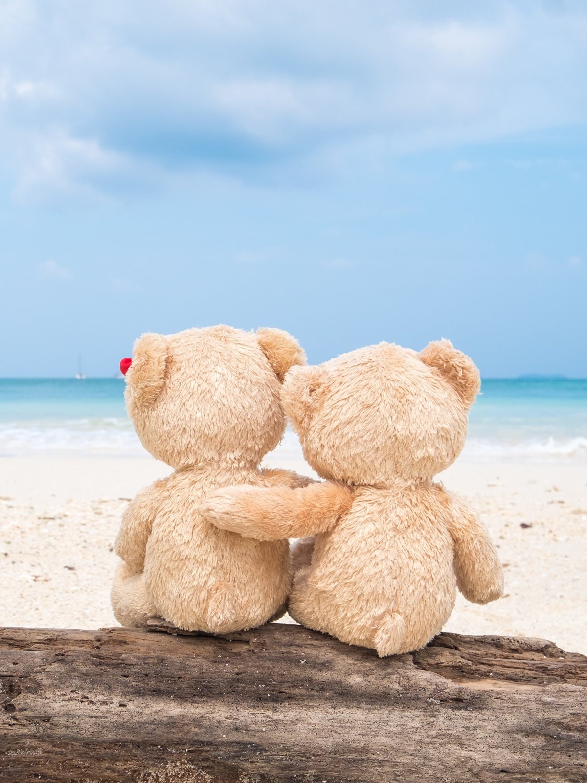 Мишки обнимаются