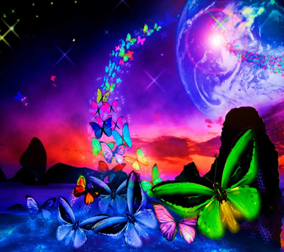 Бабочки ночью