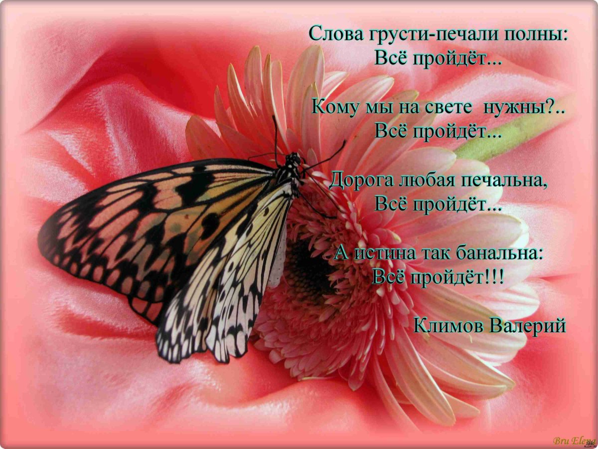 Пейзаж с бабочками