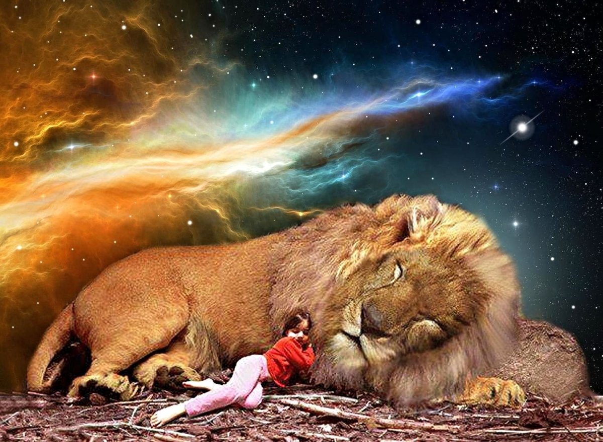 Кентаро Нишино картины