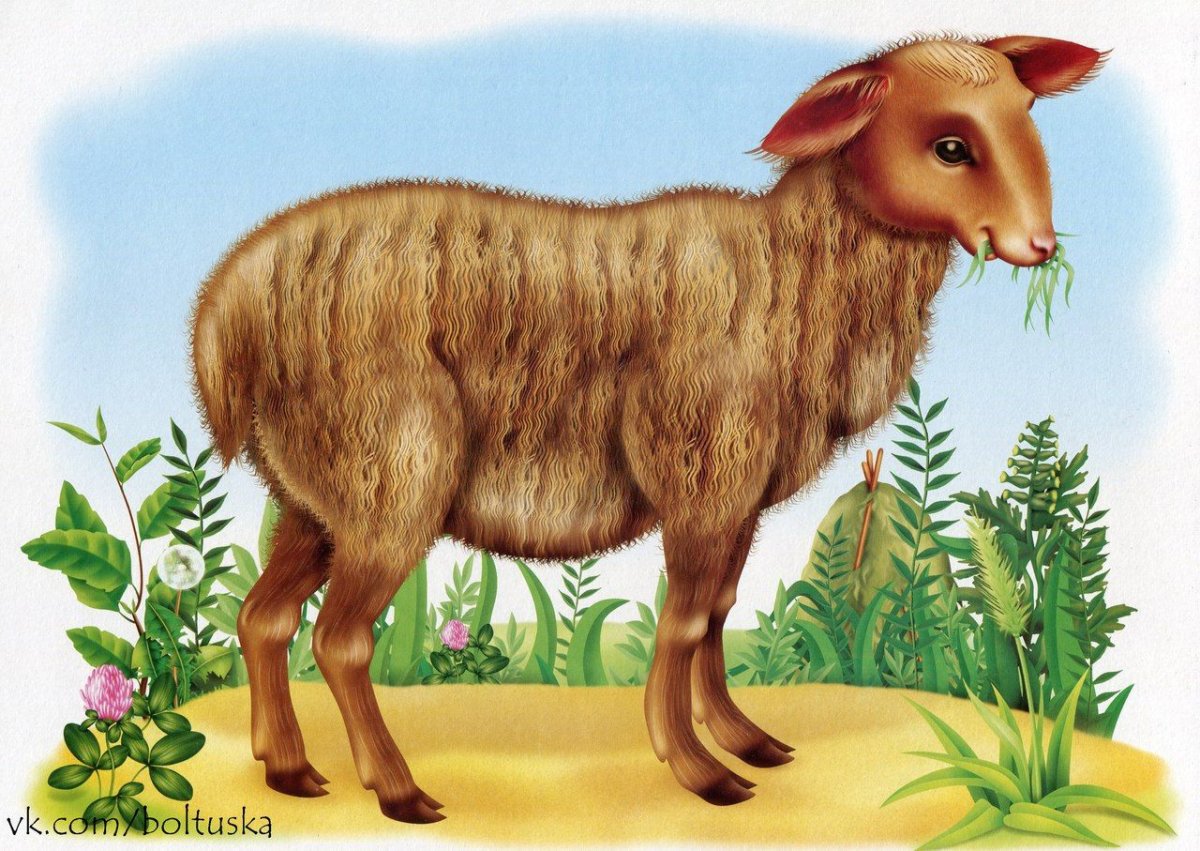 Домашние животные