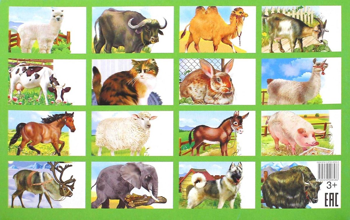 Домашние животные для детей