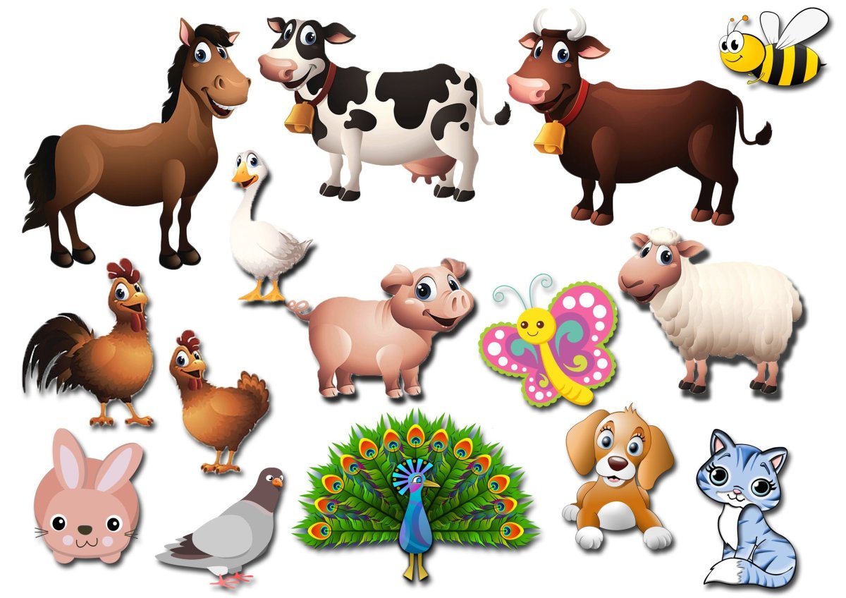 Домашние животные для детей