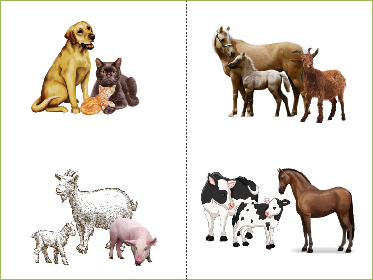 Пазл Castorland Cows on a Meadow (b-120062), 12 дет.