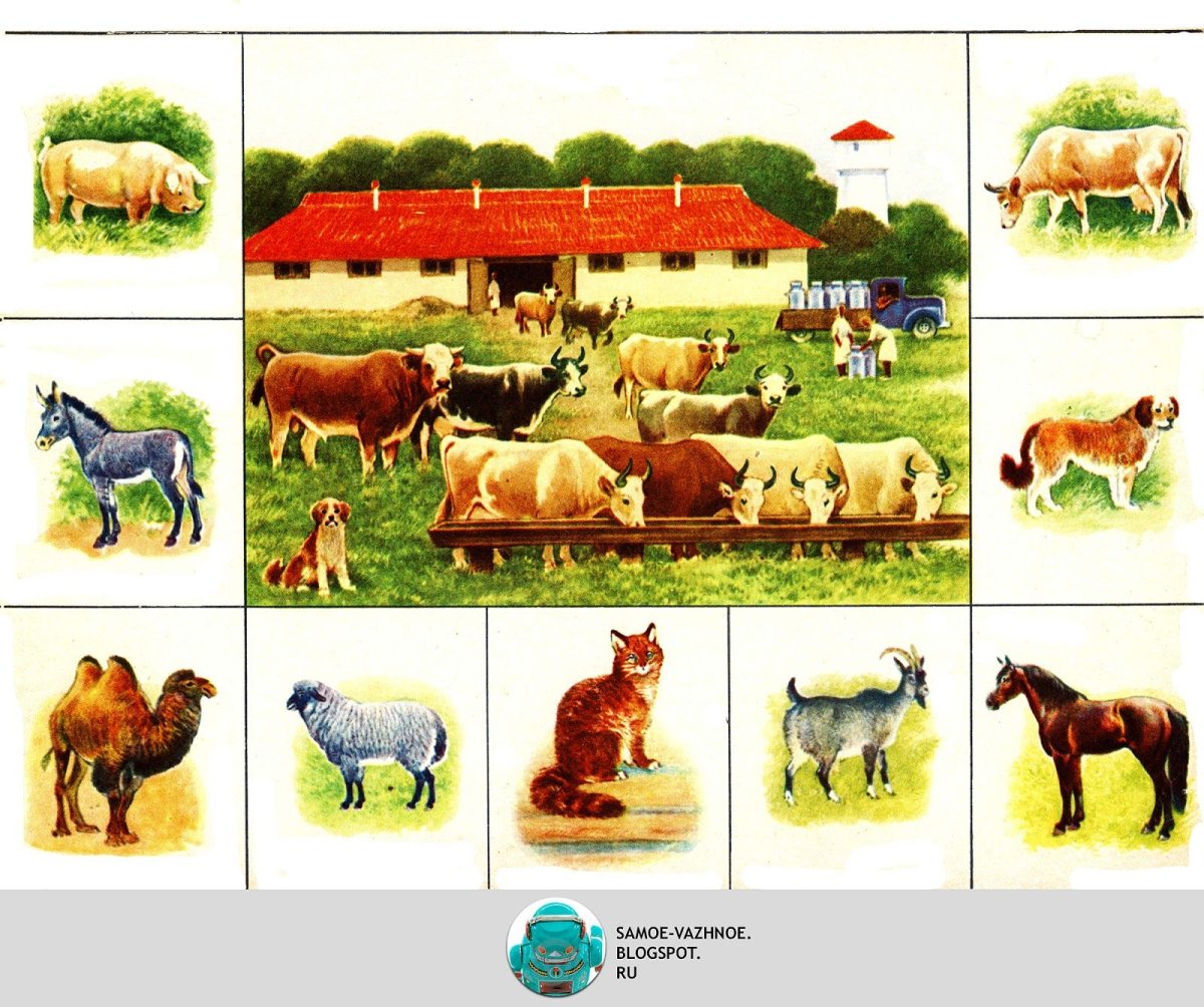 Дошниеживотные для детей