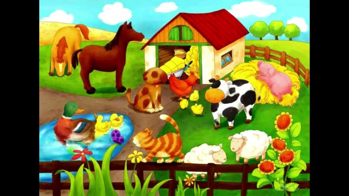 Дошниеживотные для детей