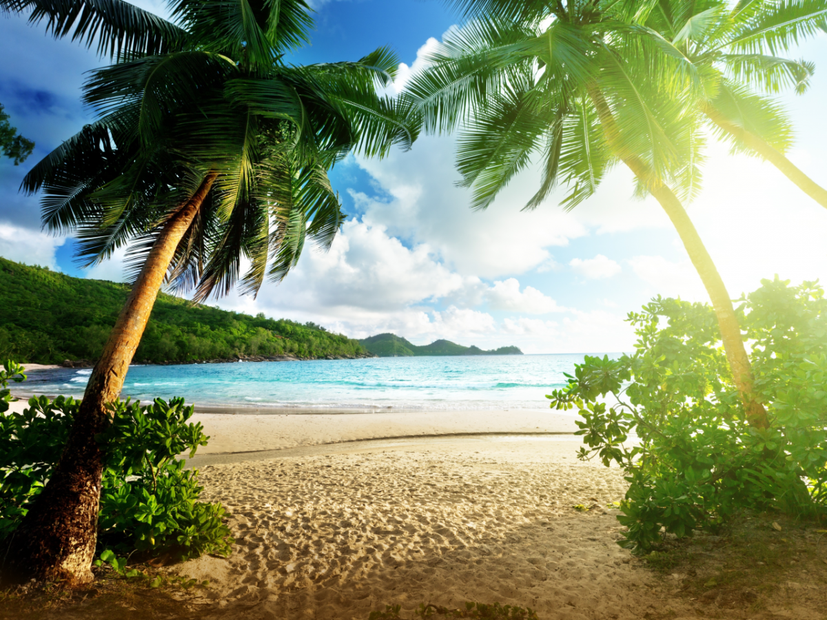 Море солнце