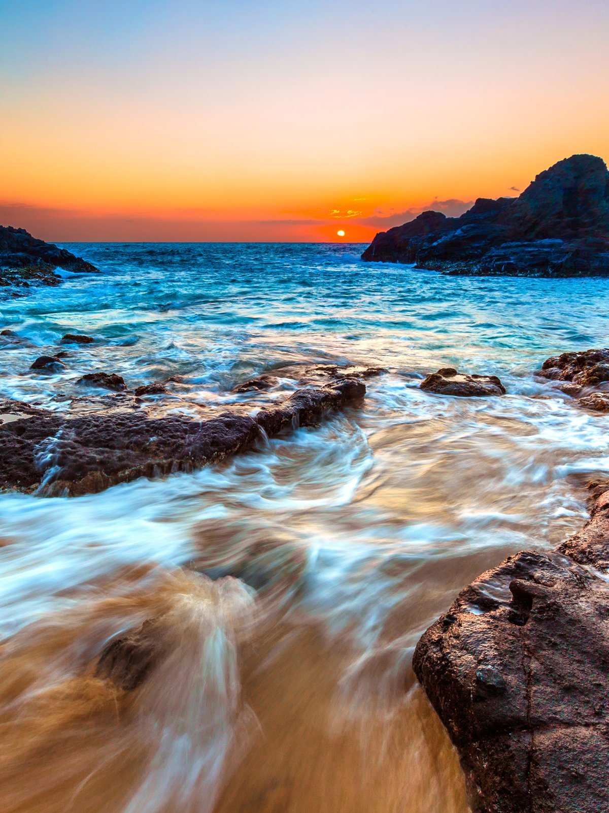 Берег океана с пальмами