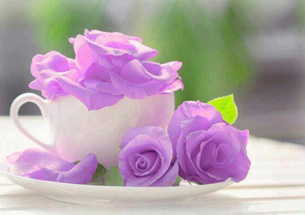 С добрым утром