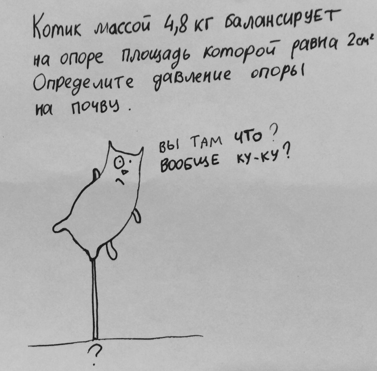 Задачи про котиков по физике