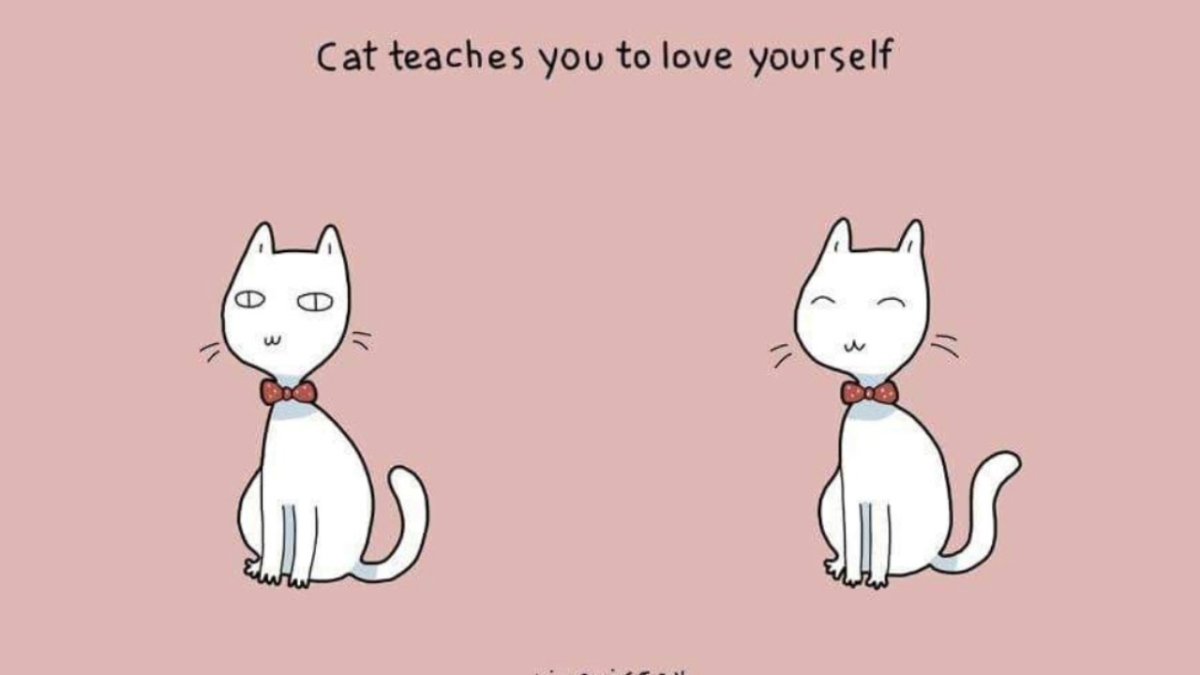 Завести кота