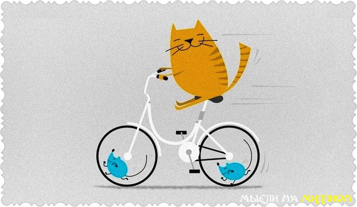 Доброе утро велосипедисты