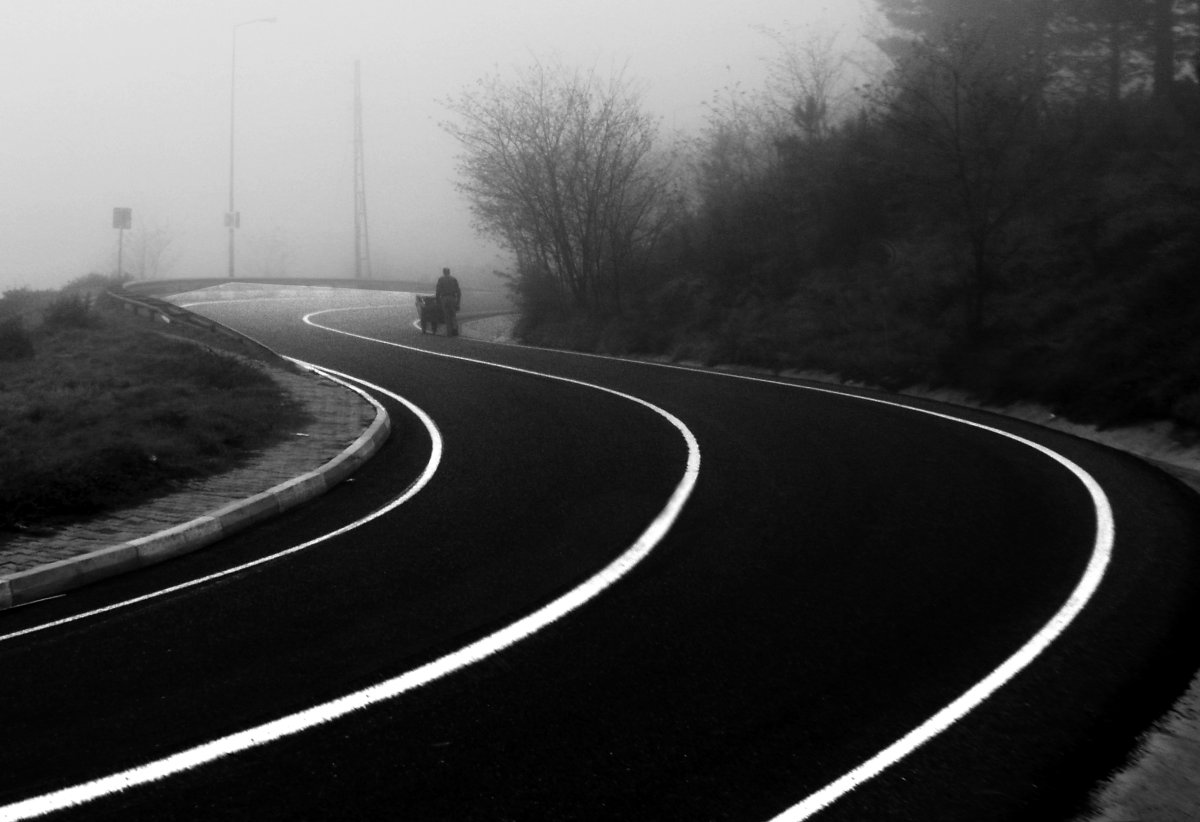 Белая дорога