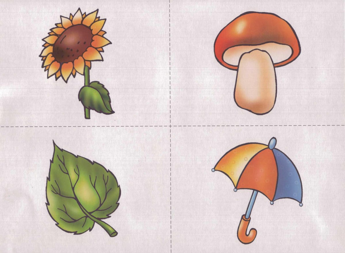 Предметы для дошкольников