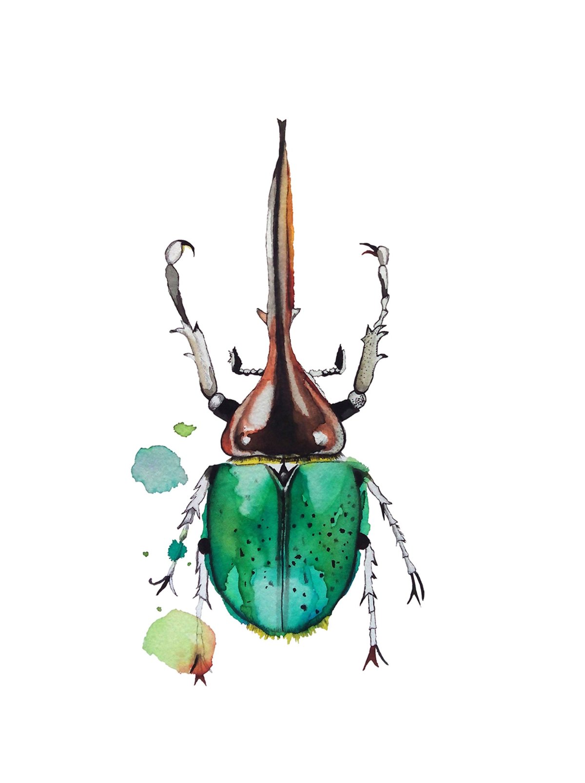 Жук акварелью