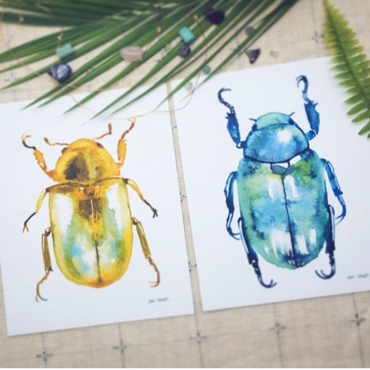 Скетч насекомые акварель