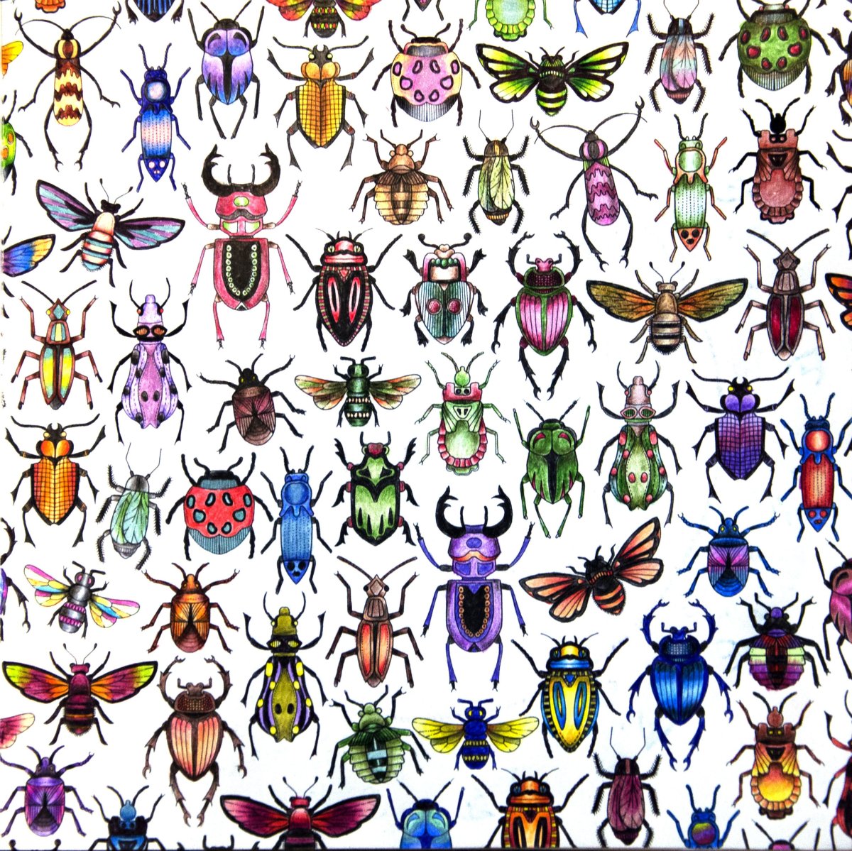 Паттерны жуки