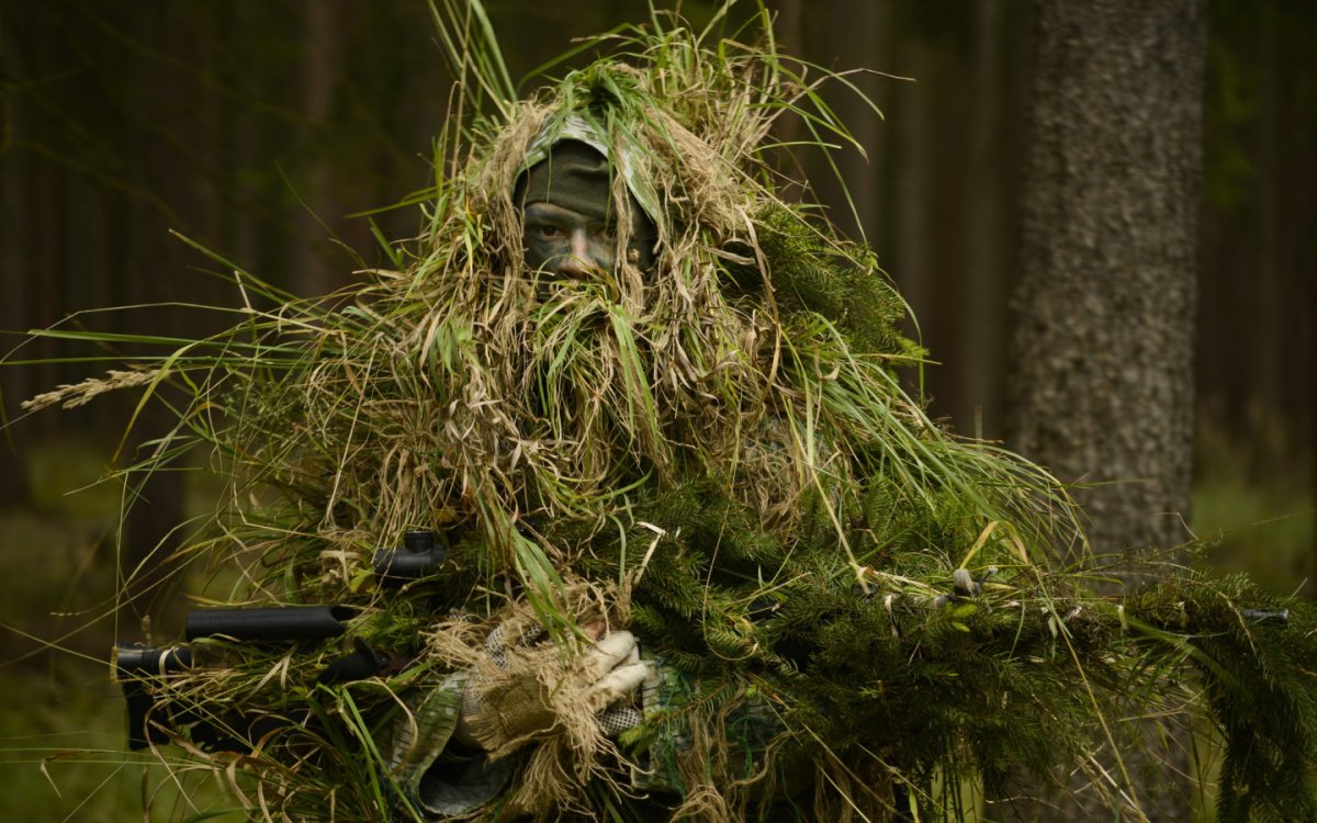 Кикимора Болотная снайпер