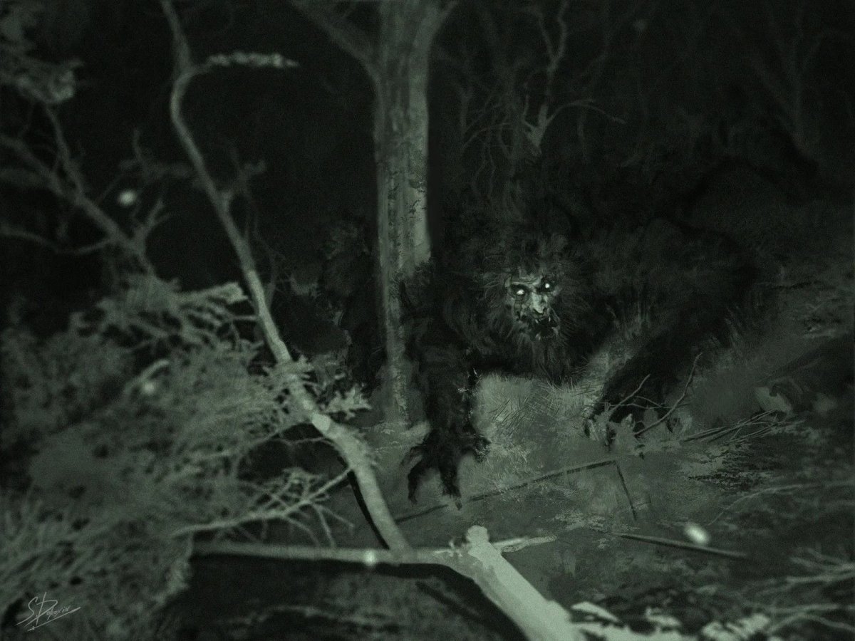 Темный друид арт