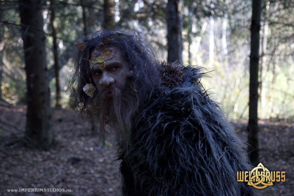 Мистические истории про лес