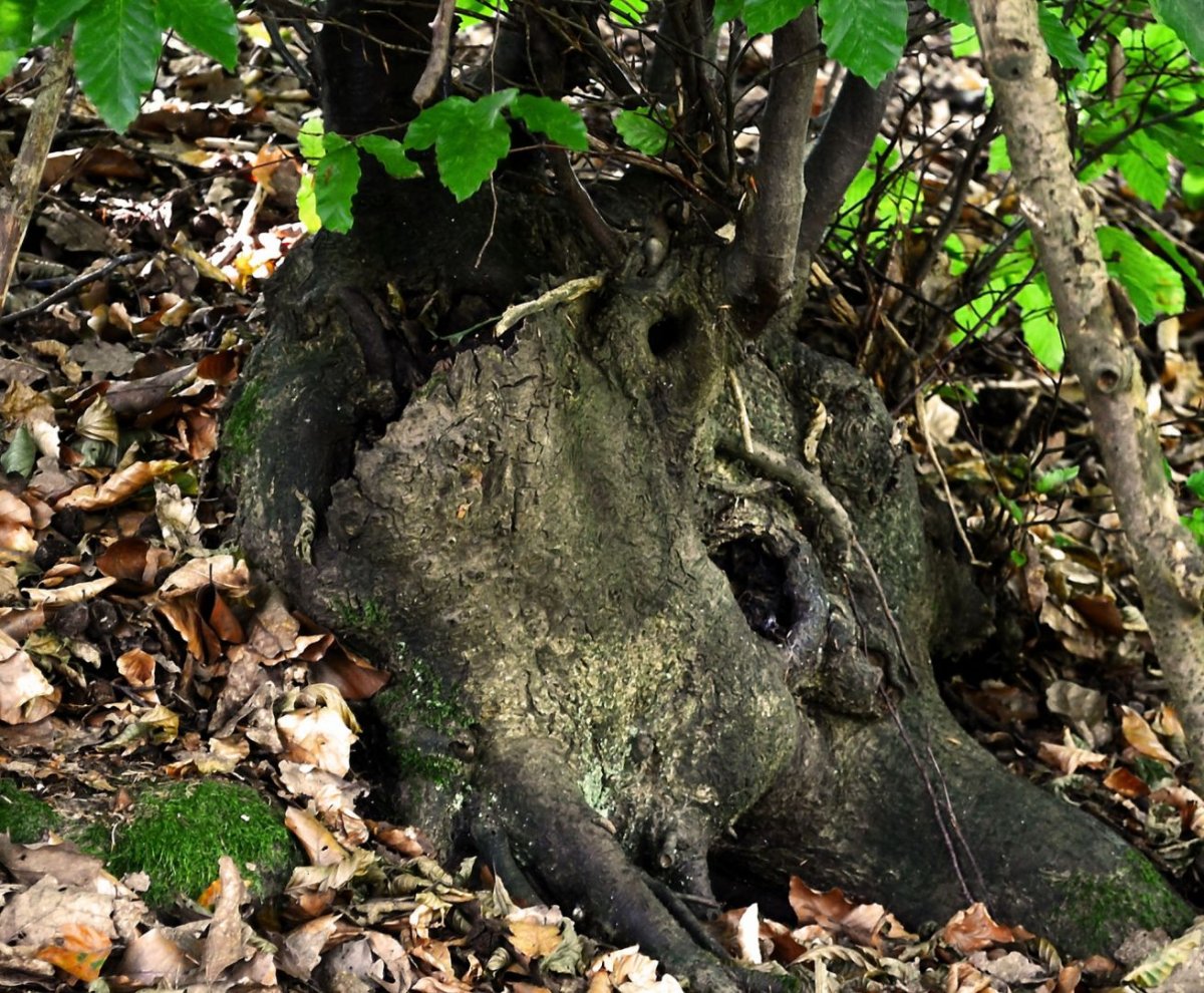 Снайпер в Гилли арт