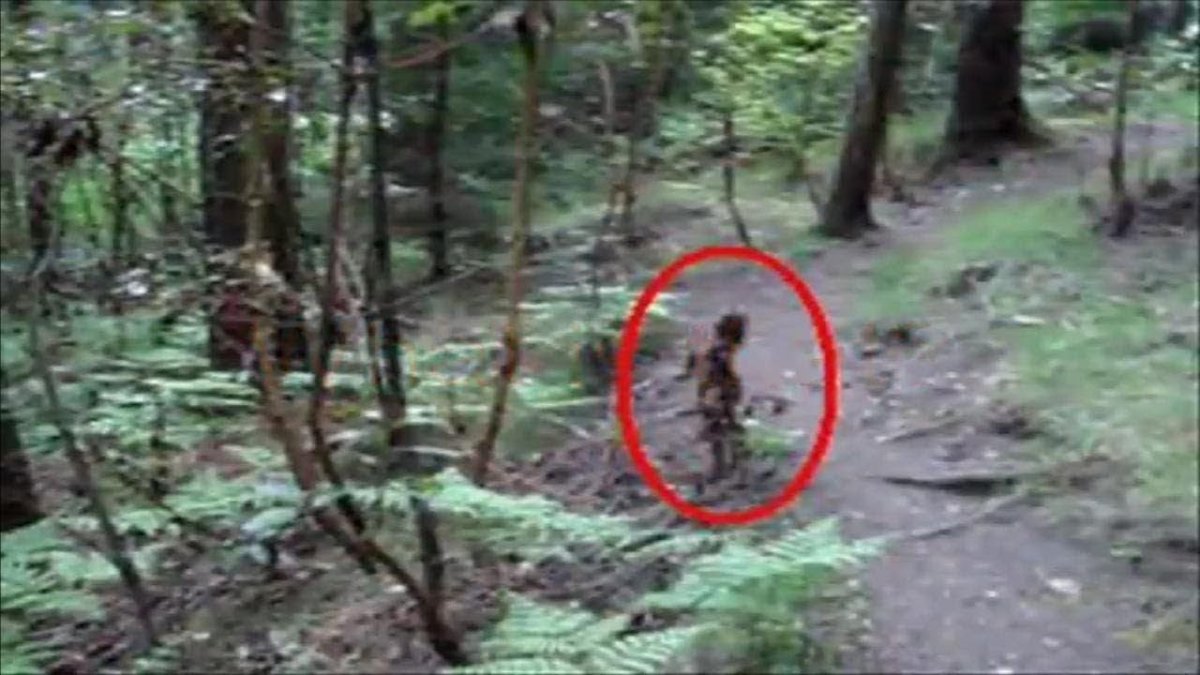 Снайпер страйкбол Ghillie