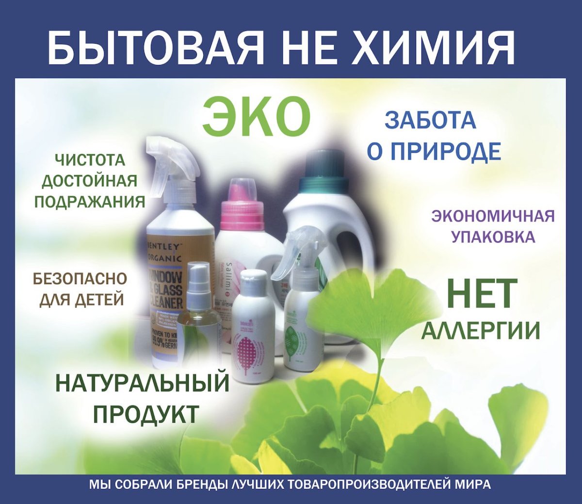 Экологическая бытовая химия