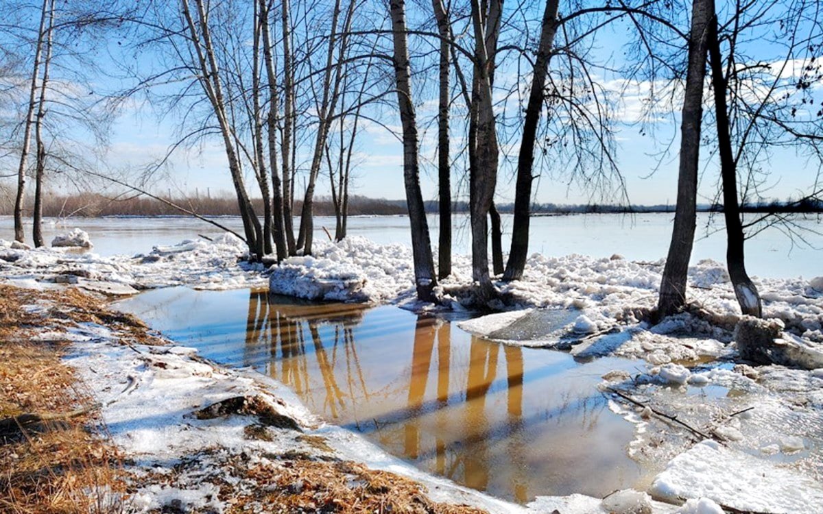 Ранняя Весна на рабочий стол